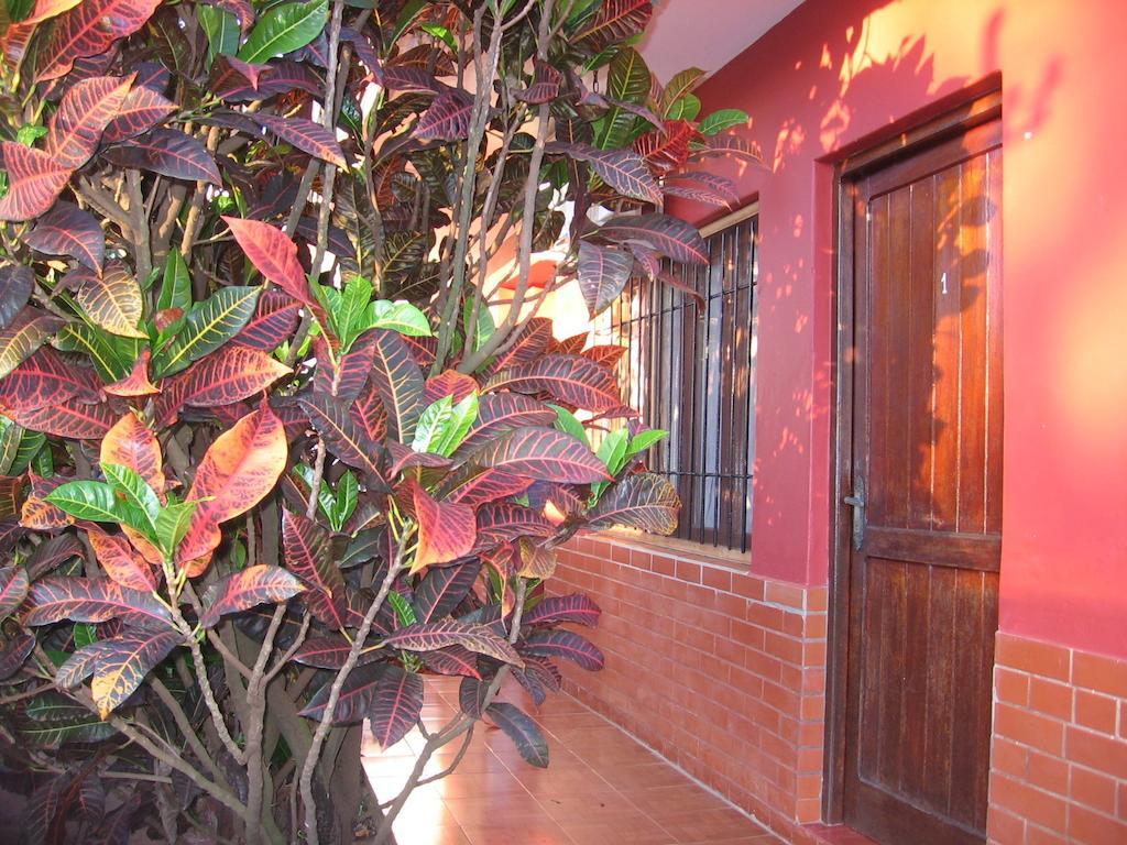Alecrin Apart Puerto Iguazú Buitenkant foto